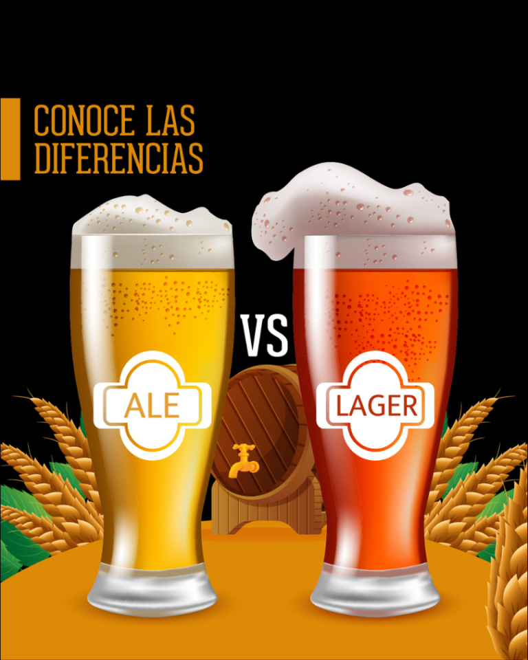 Diferencias entre una cerveza Ale y una Lager